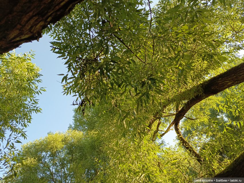 Пять лодок с Юга часть 2 — Зарисовки из кукольной жизни: фотоистории