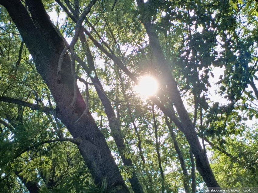 Пять лодок с Юга часть 2 — Зарисовки из кукольной жизни: фотоистории