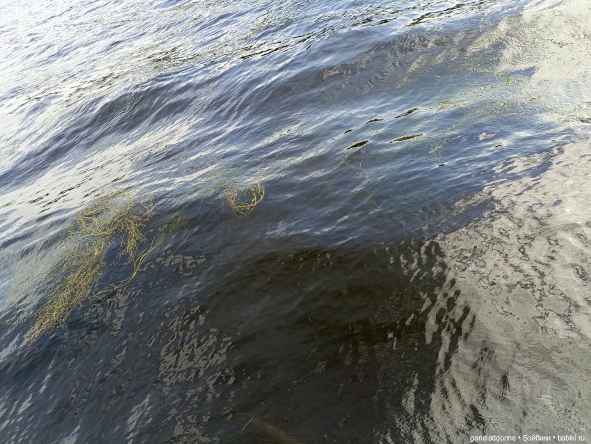 Сквозь горизонт 1 часть — Зарисовки из кукольной жизни: фотоистории