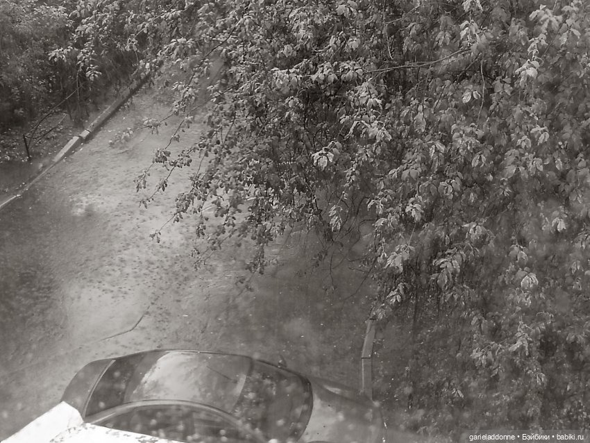 Исповедь Саммер — Культура