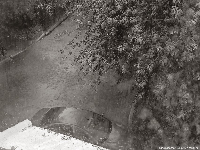 Исповедь Саммер — Культура