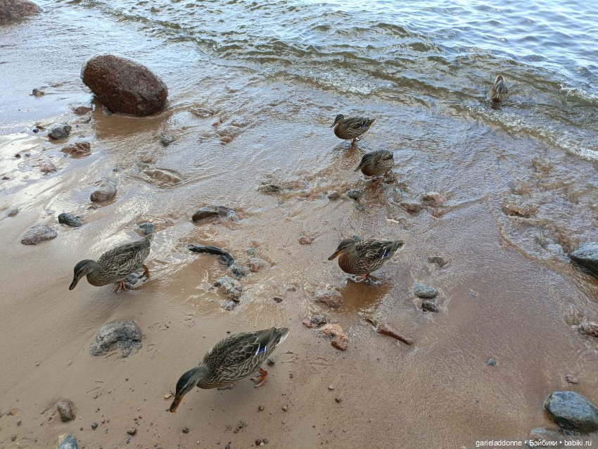 Сквозь горизонт 3 часть — Зарисовки из кукольной жизни: фотоистории