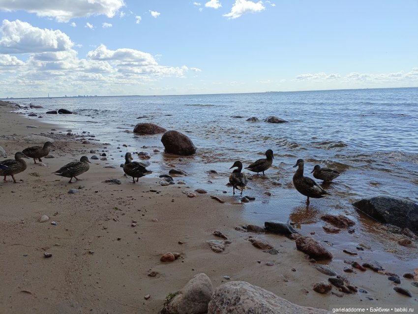 Сквозь горизонт 3 часть — Зарисовки из кукольной жизни: фотоистории