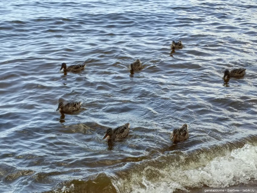 Сквозь горизонт 3 часть — Зарисовки из кукольной жизни: фотоистории