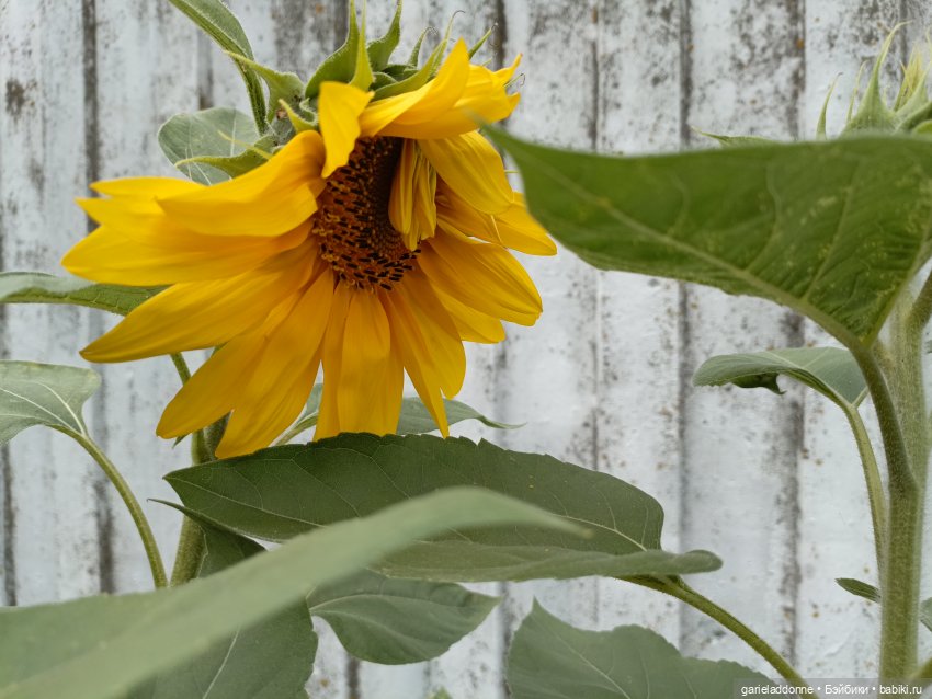 Сердце шторма — Туризм и путешествия: фотоотчеты из поездок