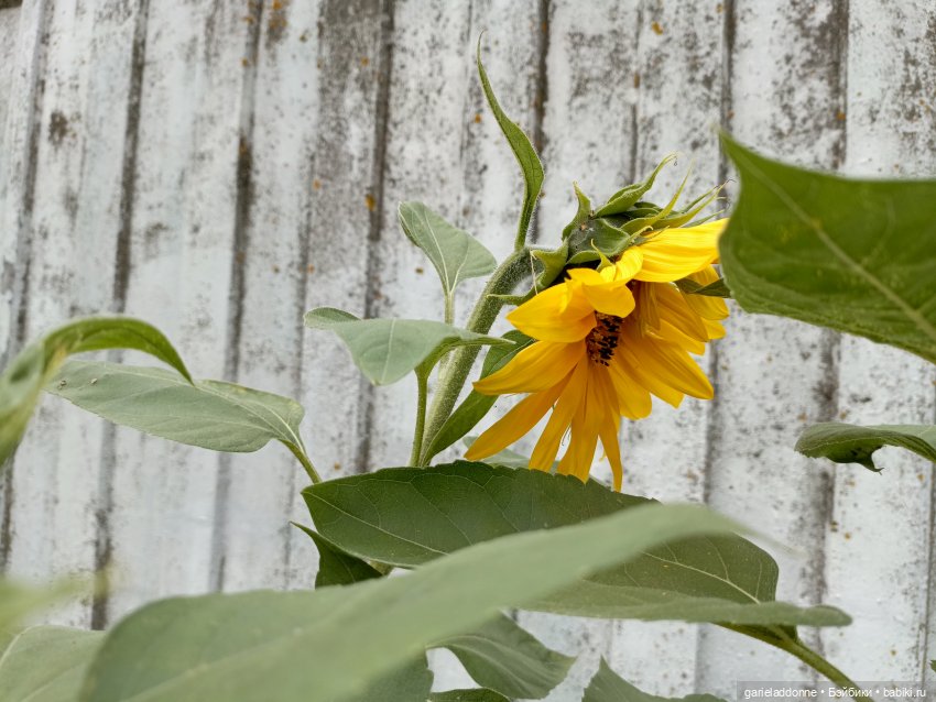 Сердце шторма — Туризм и путешествия: фотоотчеты из поездок