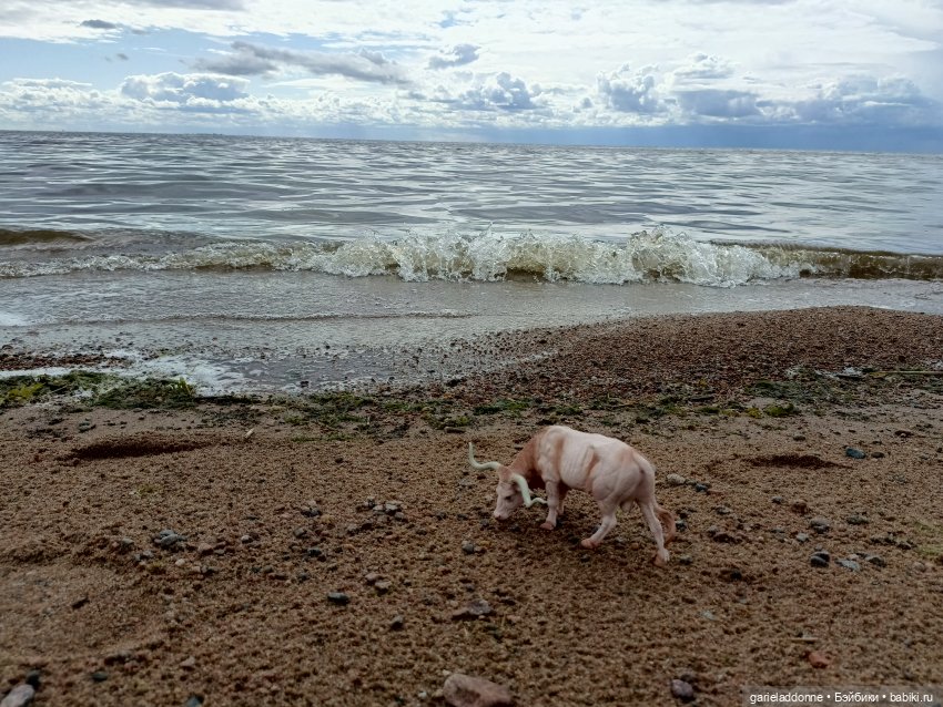 Сквозь горизонт 4 часть — Зарисовки из кукольной жизни: фотоистории