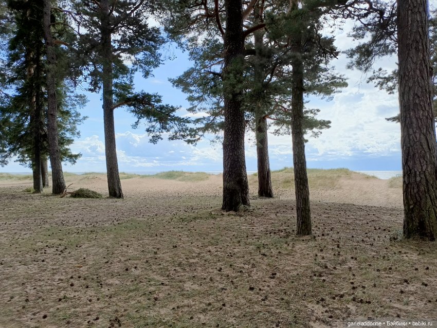 Сквозь горизонт 4 часть — Зарисовки из кукольной жизни: фотоистории (фото 6)