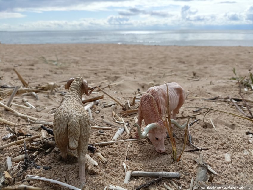 Сквозь горизонт 4 часть — Зарисовки из кукольной жизни: фотоистории (фото 4)