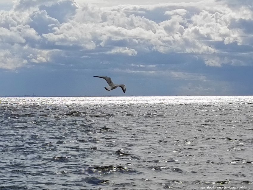 Сквозь горизонт 5 часть — Зарисовки из кукольной жизни: фотоистории (фото 7)