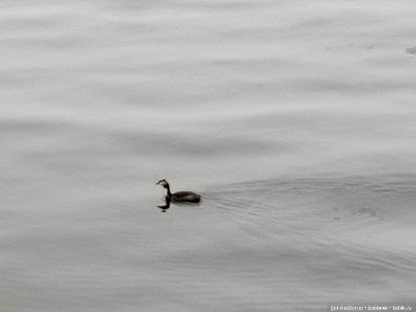 Туман — Туризм и путешествия: фотоотчеты из поездок