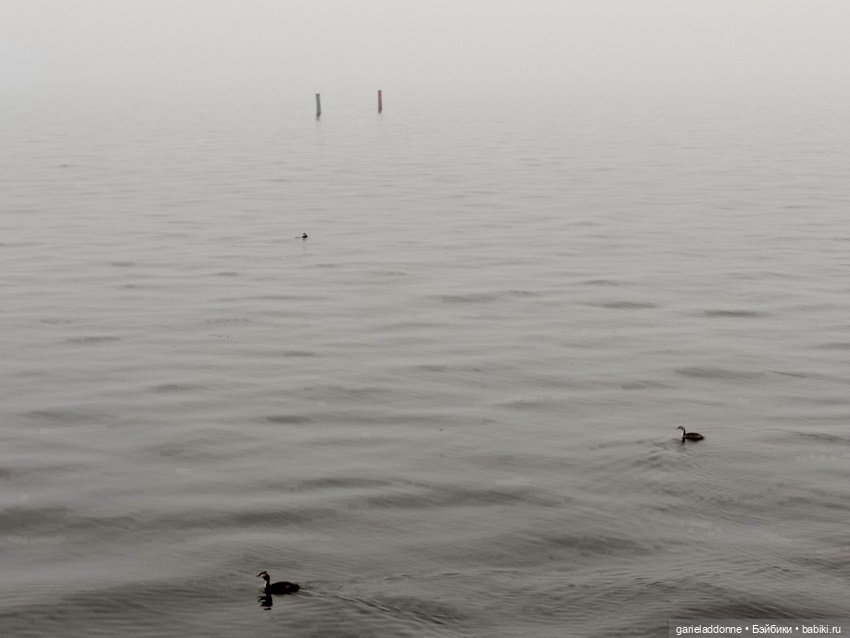 Туман — Туризм и путешествия: фотоотчеты из поездок