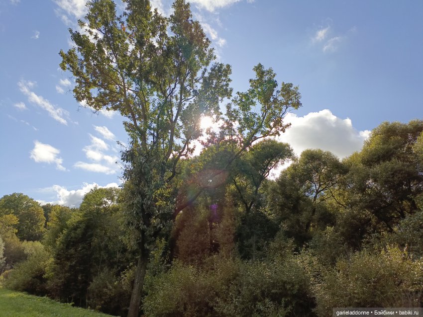 Дорога шла на Юг — Культура