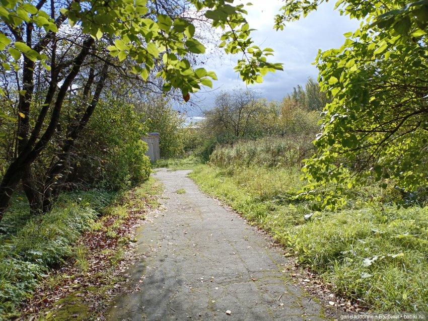 Дорога шла на Юг — Культура