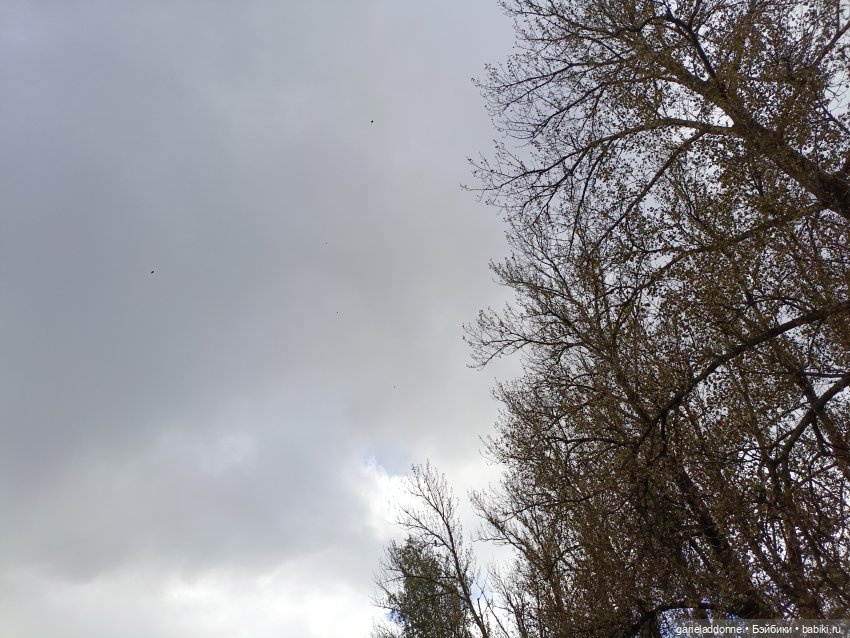 Дорога шла на Юг — Культура