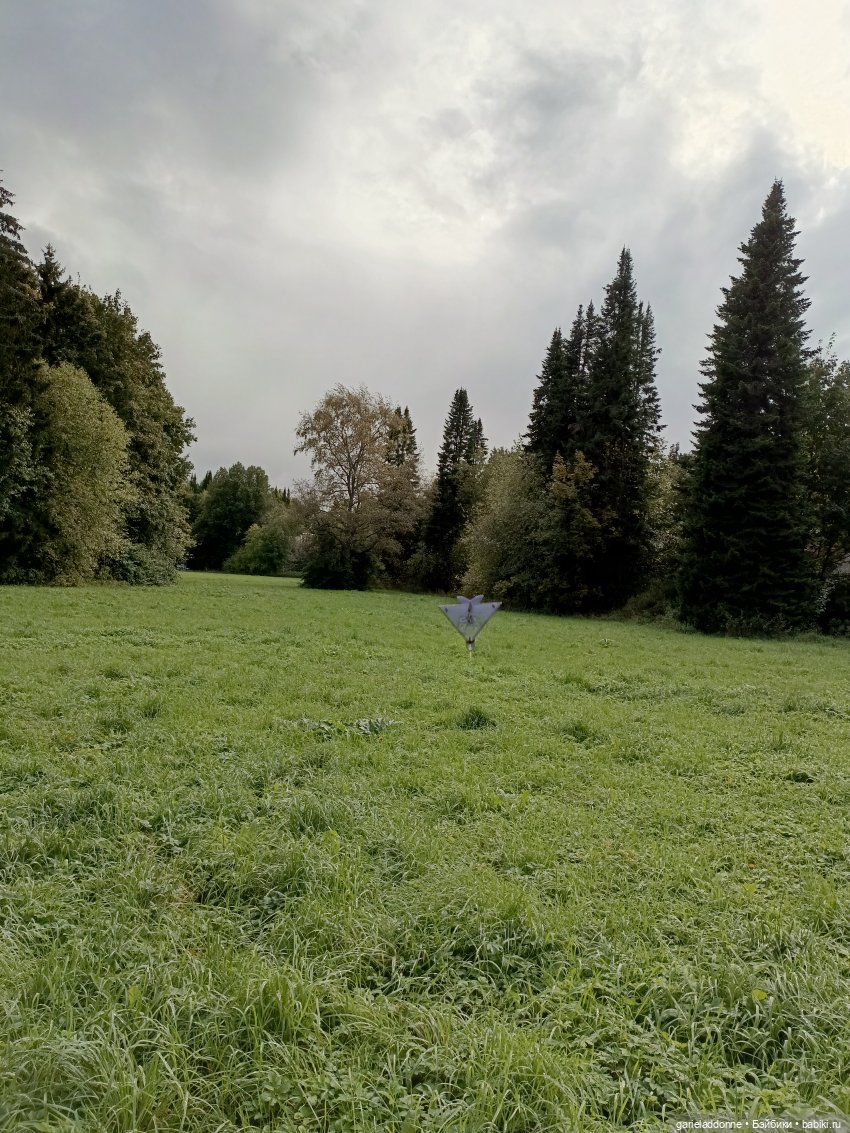 Полетит — Зарисовки из кукольной жизни: фотоистории