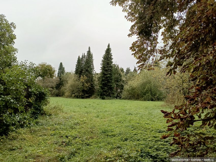 Полетит — Зарисовки из кукольной жизни: фотоистории