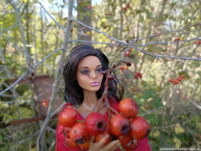 Высота Клодетт — Зарисовки из кукольной жизни: фотоистории