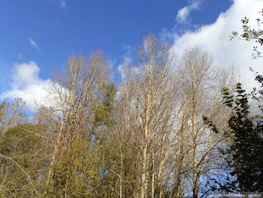 Высота Клодетт — Зарисовки из кукольной жизни: фотоистории