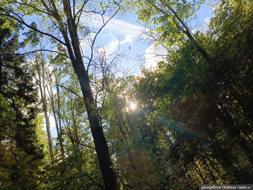 Высота Клодетт — Зарисовки из кукольной жизни: фотоистории