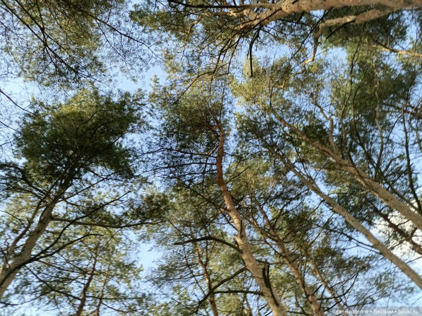 Высота Клодетт — Зарисовки из кукольной жизни: фотоистории