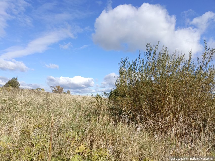 Высота Клодетт — Зарисовки из кукольной жизни: фотоистории