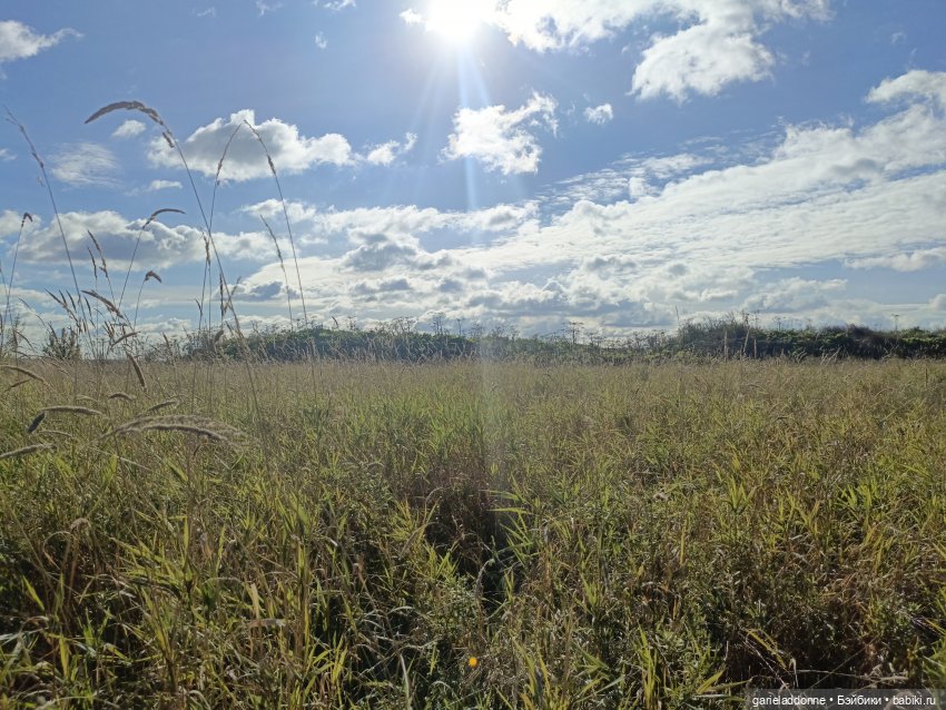 Высота Клодетт — Зарисовки из кукольной жизни: фотоистории