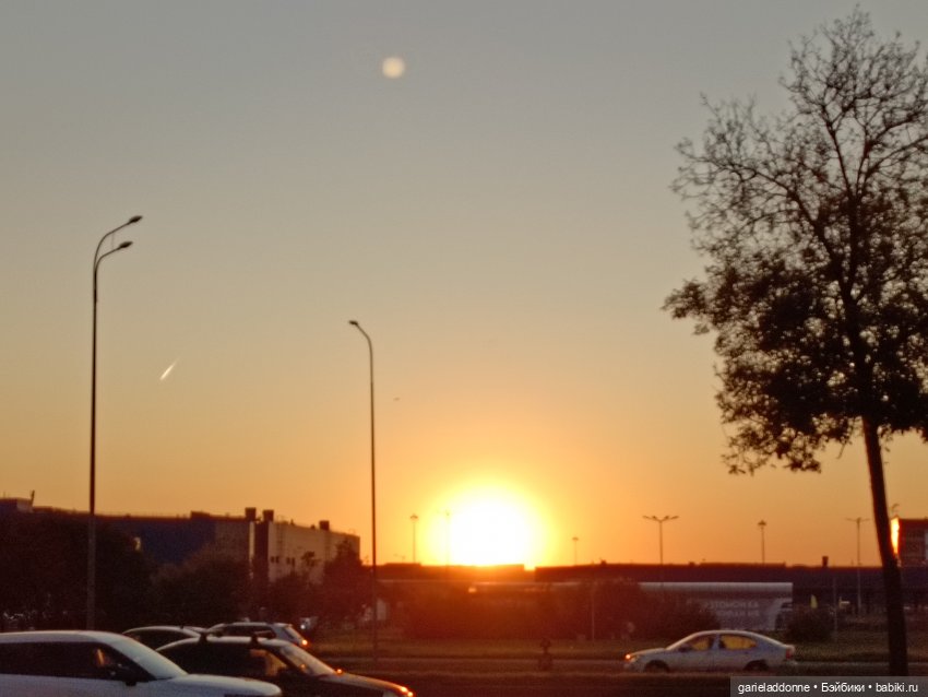 Осколки лета — Куклы Mattel (Маттел) разное: Enchantimals (фото 3)