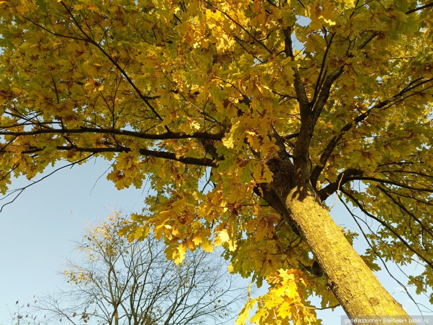 За солнечной стороной — Зарисовки из кукольной жизни: фотоистории