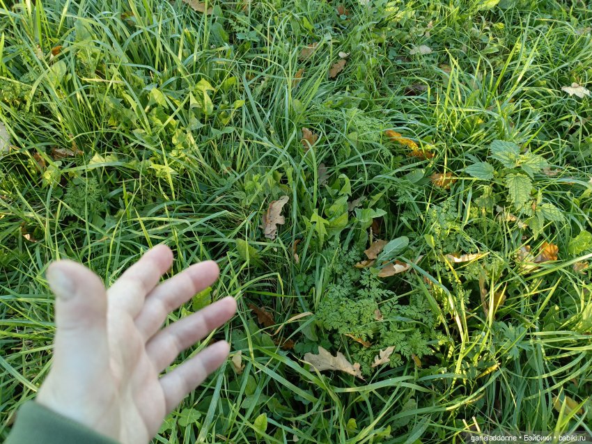 За солнечной стороной — Зарисовки из кукольной жизни: фотоистории