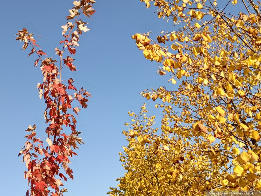 За солнечной стороной — Зарисовки из кукольной жизни: фотоистории