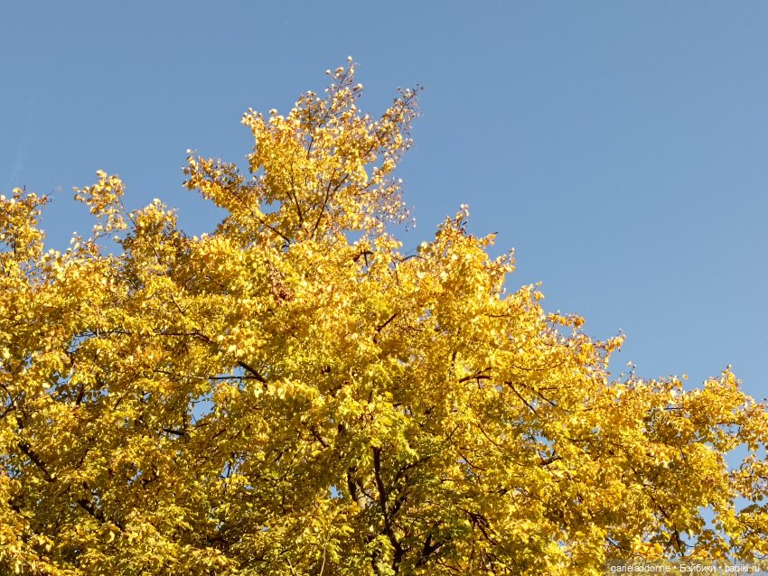 За солнечной стороной — Зарисовки из кукольной жизни: фотоистории (фото 4)