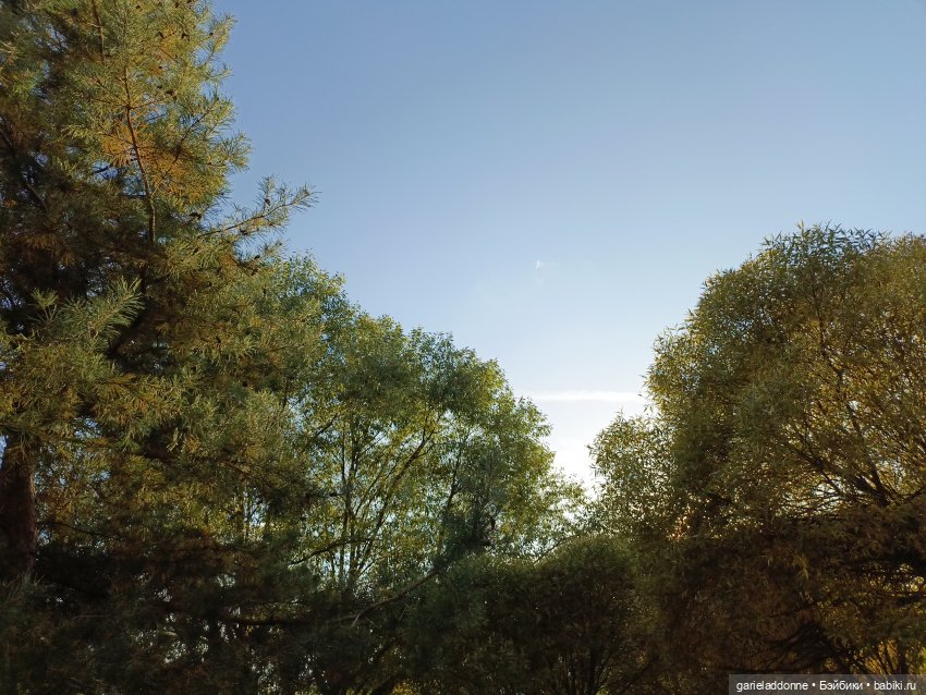 За солнечной стороной — Зарисовки из кукольной жизни: фотоистории