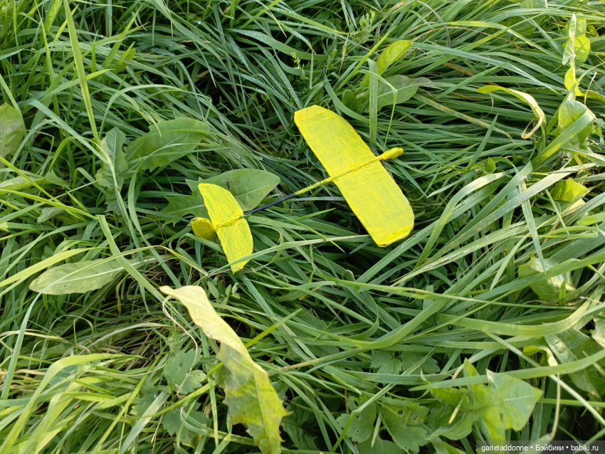 За солнечной стороной — Зарисовки из кукольной жизни: фотоистории (фото 10)