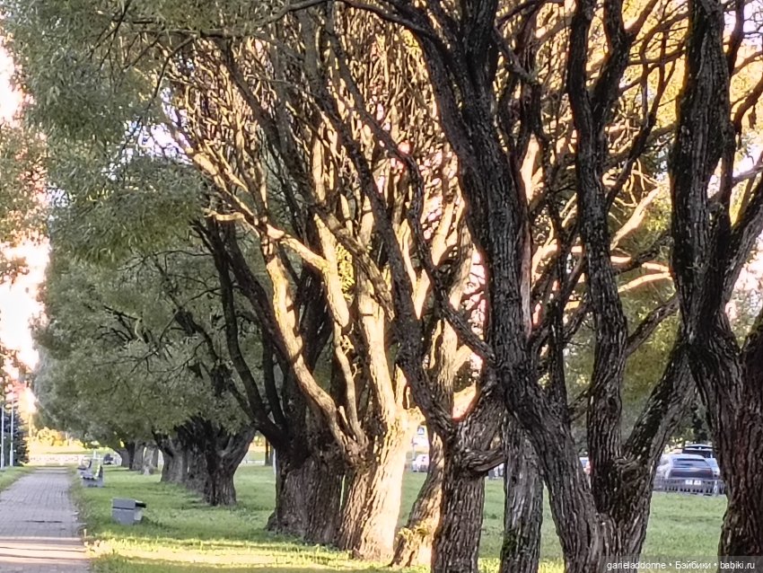За солнечной стороной — Зарисовки из кукольной жизни: фотоистории
