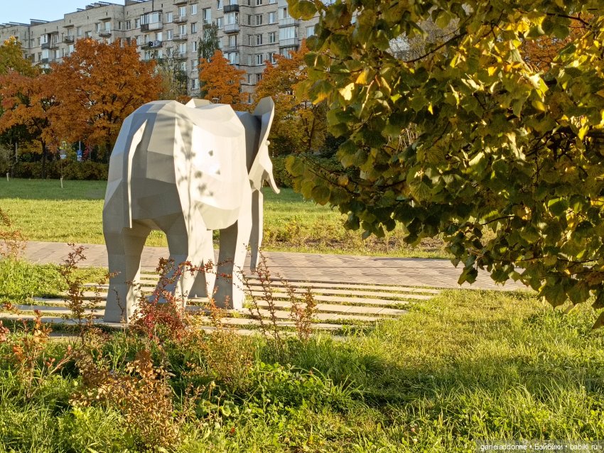 За солнечной стороной — Зарисовки из кукольной жизни: фотоистории