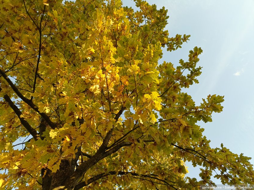 За солнечной стороной — Зарисовки из кукольной жизни: фотоистории