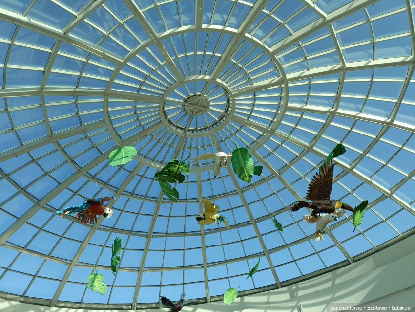 За солнечной стороной — Зарисовки из кукольной жизни: фотоистории