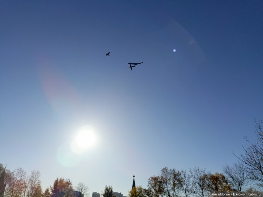 За солнечной стороной часть 5 (фото 6)