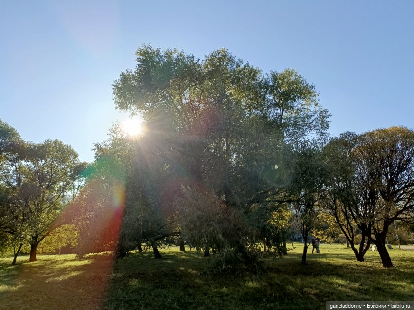 За солнечной стороной часть 5