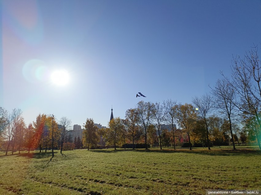 За солнечной стороной часть 5 (фото 9)