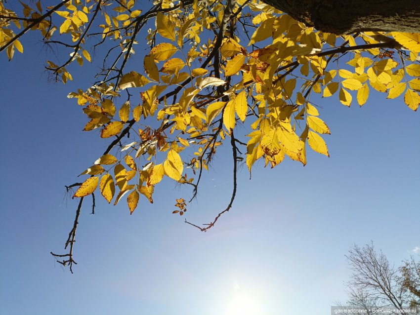 За солнечной стороной часть 5