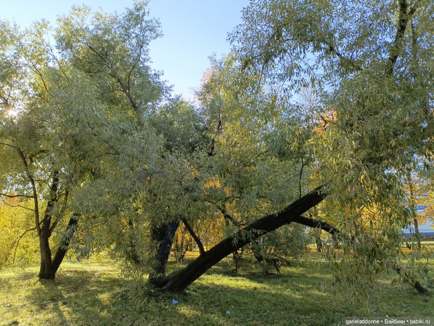 За солнечной стороной часть 5