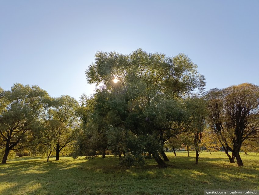 За солнечной стороной часть 5