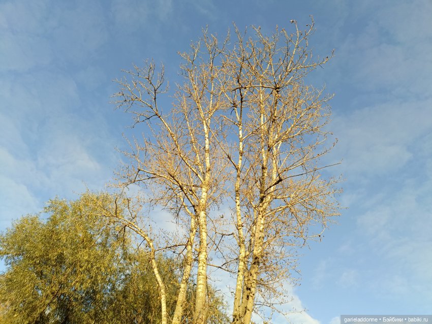 За солнечной стороной часть 6