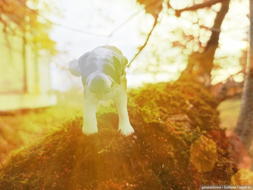 За солнечной стороной часть 6