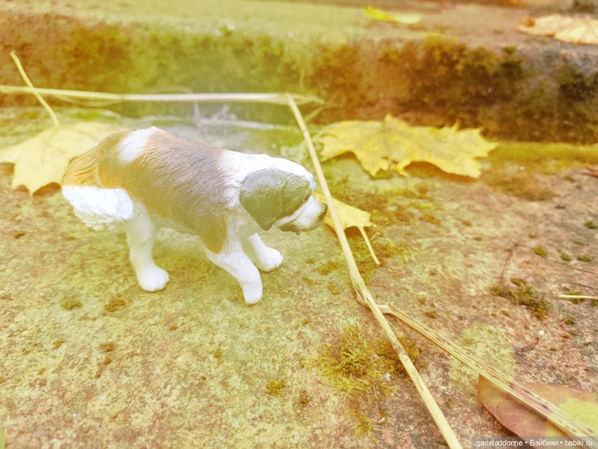 За солнечной стороной часть 6