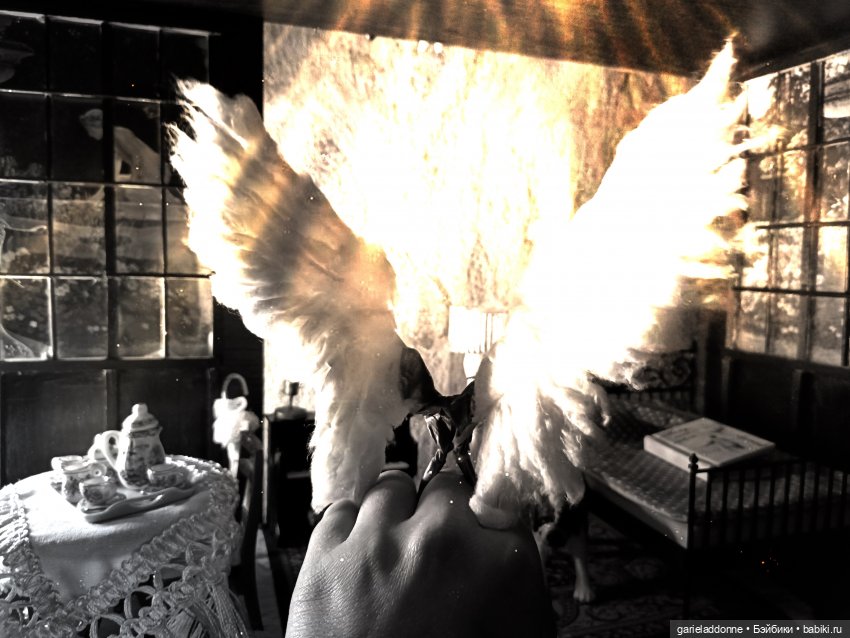 За солнечной стороной часть 7 (фото 3)