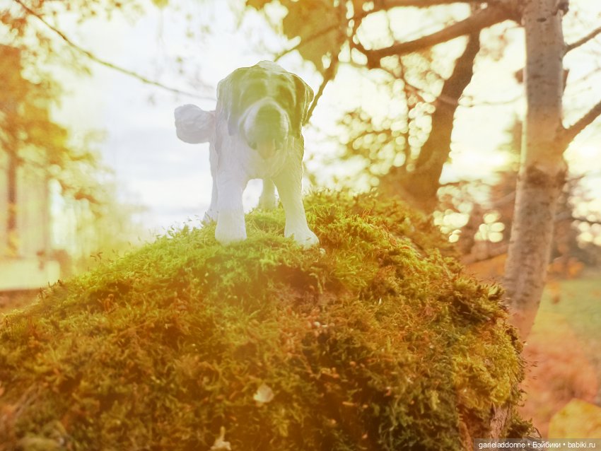 За солнечной стороной часть 6