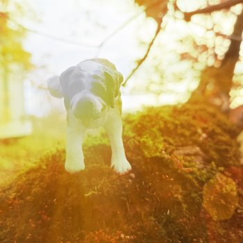 За солнечной стороной часть 6